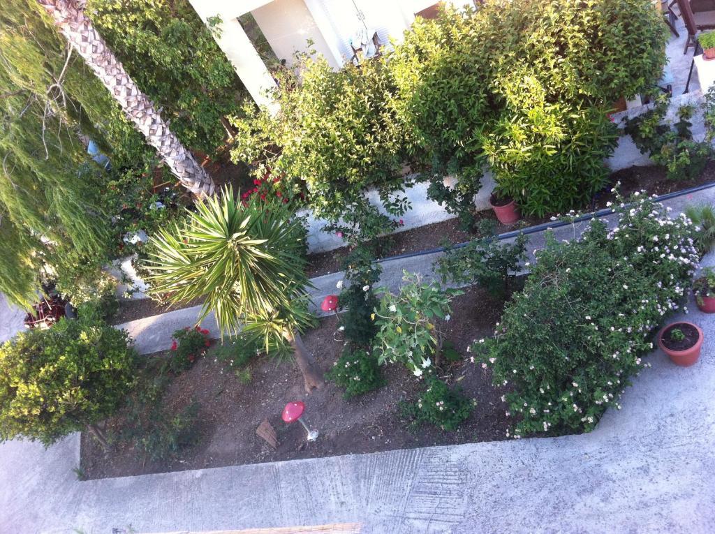 Manine Apartments Kos Rum bild
